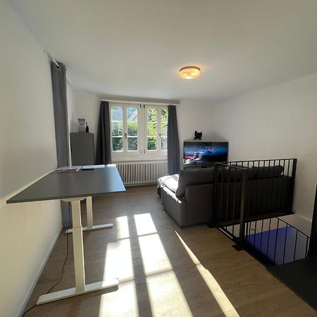 Blick Auf Schwarzen Turm - Freihofapartments Brugg  Exterior foto